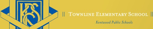 Townline Elementary