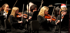Violins