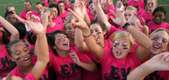 Powderpuff