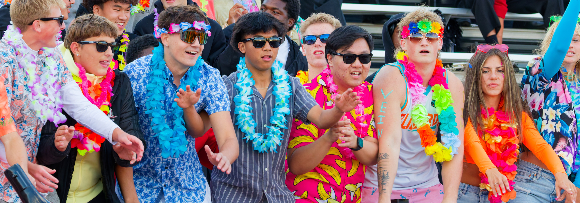 Students dressed in spirit ware at football game